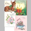 Loralee_Ann-Mericle_ Loose-Photos-Cards_Youth_0041.jpg